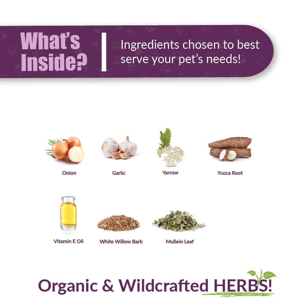 Amber NaturalZ Otaxium Drops Herbal Supplement for Dogs, Cats, Birds, Guinea Pigs, and Rabbits | Pet Herbal Supplement for Ear H